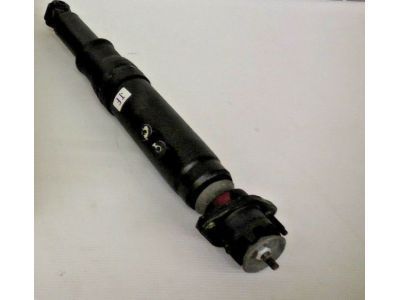 Buick 22064487 Shock Absorber