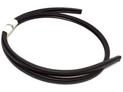 Pontiac Grand Am Weather Strip - 22614342