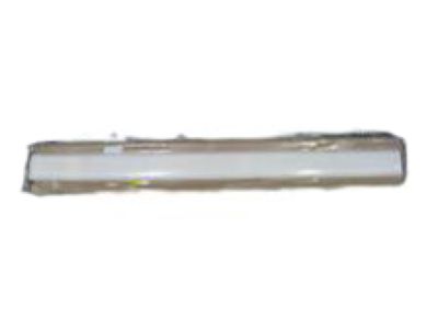 Chevy 30022984 Side Molding