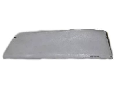 Chevy 92232022 Protector