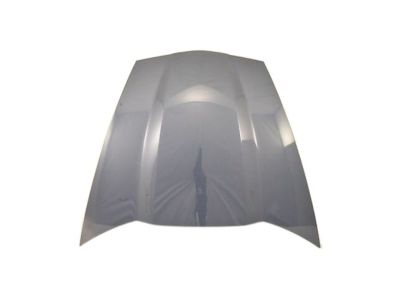 Chevy 20905862 Hood