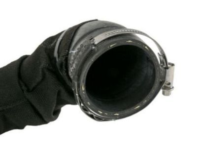 GMC 19351811 Lower Hose