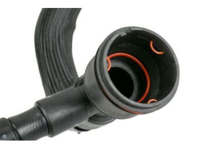 GMC 19351811 Lower Hose