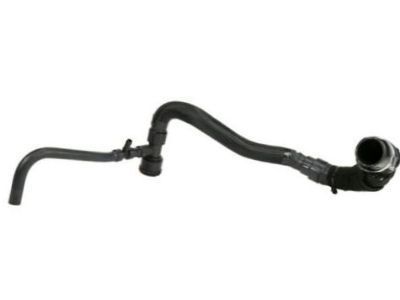 GMC 19351811 Lower Hose