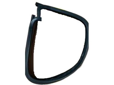 GM 15785353 Weatherstrip,Front Side Door Window