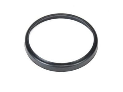 GMC 24585065 Front Seal