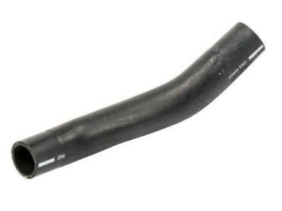 Cadillac Radiator Hose - 21999765