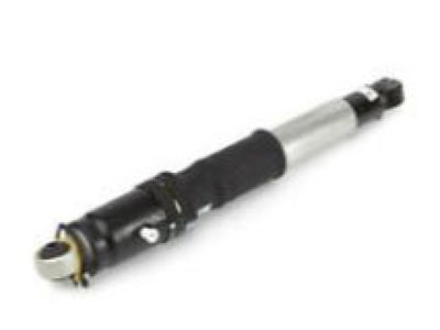 Cadillac 15223046 Shock Absorber