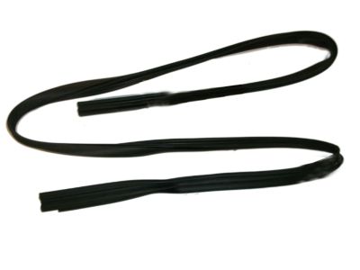 1996 Saturn SC2 Weather Strip - 21096820