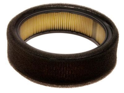 Pontiac Air Filter - 25043317