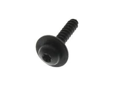 Chevy 11610092 Lower Extension Screw