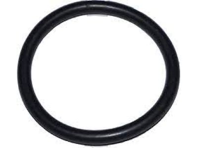 Chevy 15282801 Air Mass Sensor Seal