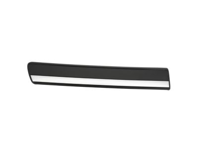 Chevy Silverado 3500 Door Moldings - 15199295