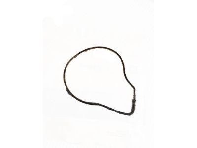 Pontiac 24446365 Gasket