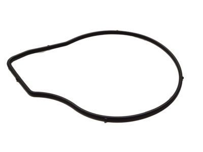 Pontiac 24446365 Gasket