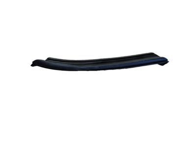 Chevy SSR Weather Strip - 19121174