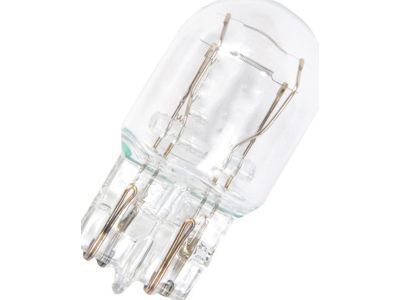 Buick 13500813 Lower Beam Bulb