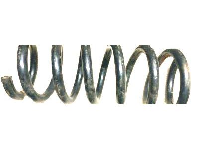 Pontiac 10306378 Coil Spring