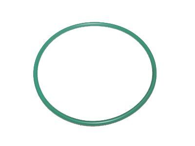 GMC 22682111 Fuel Pump Assembly Seal