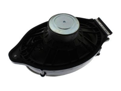 GM 23268031 Speaker Assembly, Radio Rear