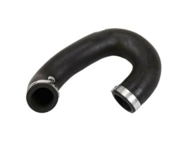 Chevy 95037246 Hoses