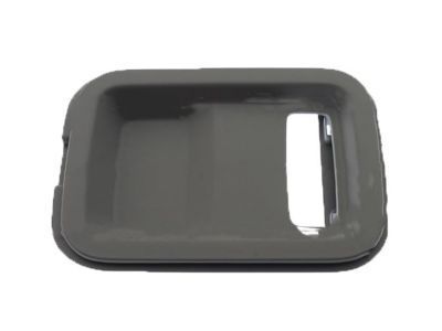 Chevy 22913340 Rear Headliner Bezel