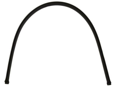 Chevy Impala Weather Strip - 22927721