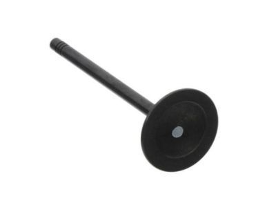 GMC 55563529 Intake Valve