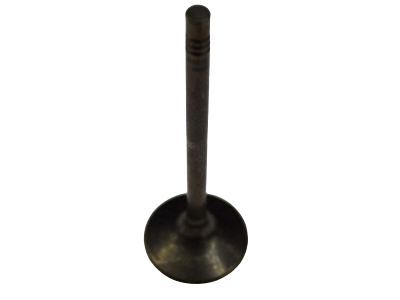 Buick 55563529 Intake Valve