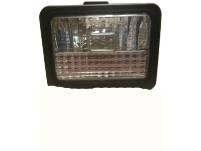 Pontiac 5975346 Parking Lamp