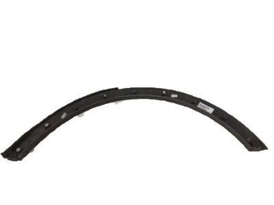 Chevy 96660210 Wheel Opening Molding