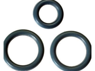 Cadillac 17113552 SEAL KIT,FUEL INJECTION FUEL RAIL(INCLUDES 6,7,20)