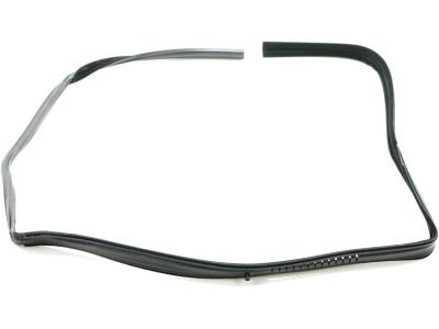 1988 Chevy R30 Weather Strip - 14027778