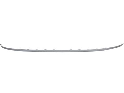 Buick 25961908 Strip Molding