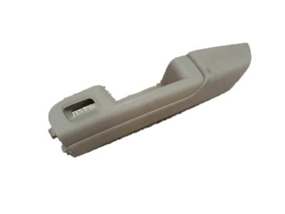 GM 15091856 Armrest,Rear Side Door