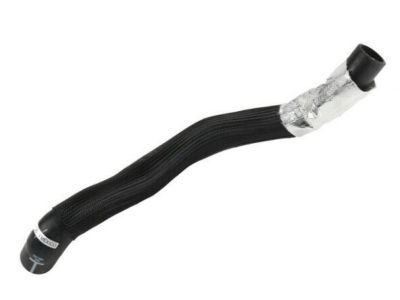 Chevy 19258622 Lower Hose