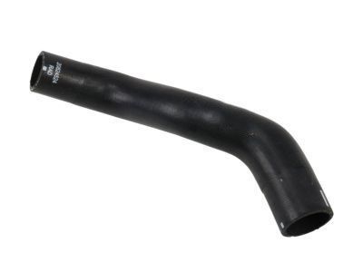 Chevy 19130608 Lower Hose