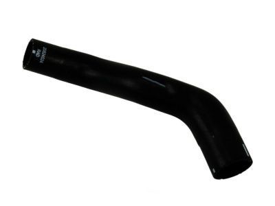 Chevy 19130608 Lower Hose