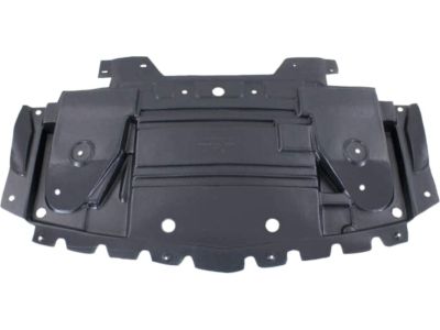 Cadillac 20844261 Front Shield