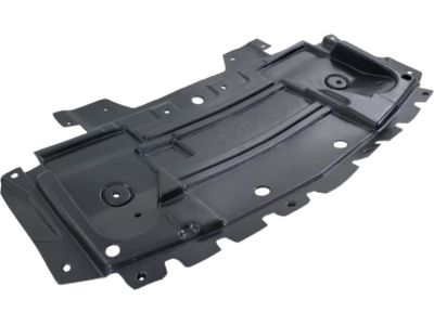 Cadillac 20844261 Front Shield