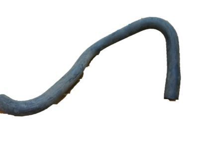 Chevy 15598395 Lower Hose