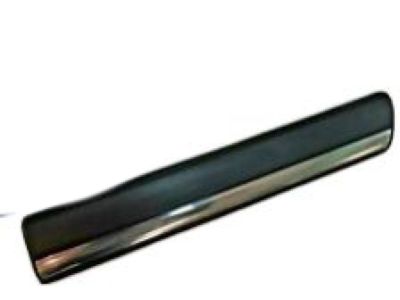 Chevy 15199294 Body Side Molding