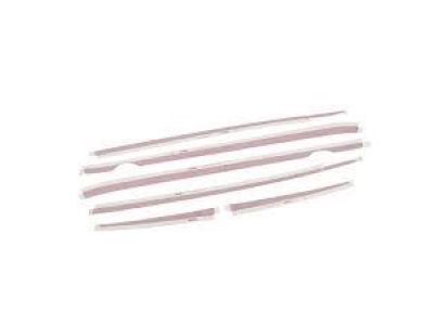 GM 23507055 Spear stripe Package in Red Hot