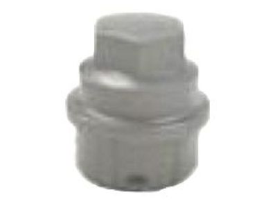 Buick 9594434 Wheel Nut Cap