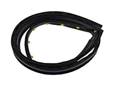 GMC 20816083 Drip Weatherstrip