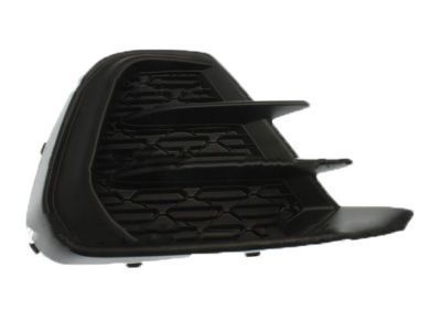 Chevy 95238852 Trim Cover