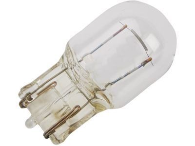 Buick 13579198 Exterior Bulbs