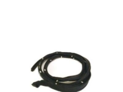 GMC S15 Jimmy Weather Strip - 15623273