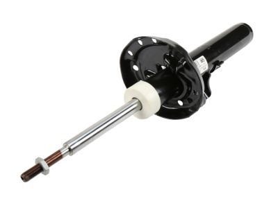 GM 19210810 Front Suspension Strut Kit