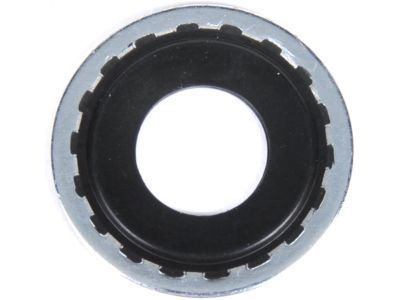 Chevy 10108689 Pipe Seal